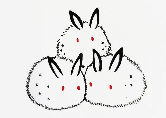 this is a placeholder :)